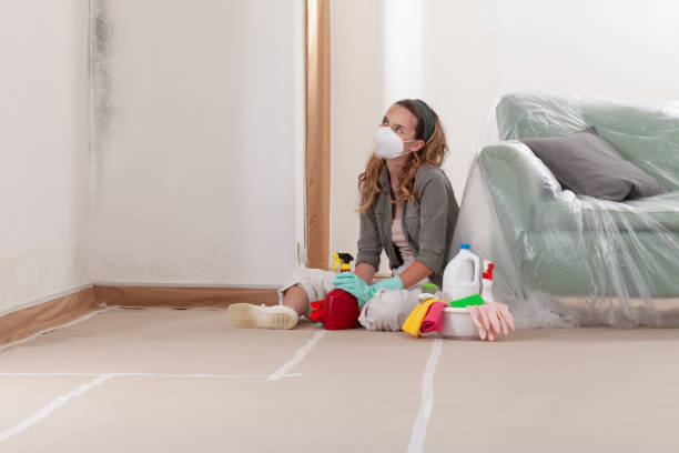 Reliable Black Mold Remediation contractor in Oak Ridge, FL by Mold Remediation HQ